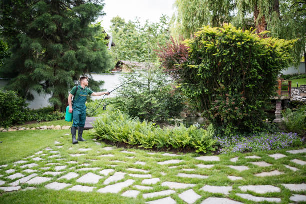 Trusted Oak Creek, WI Pest Control Experts